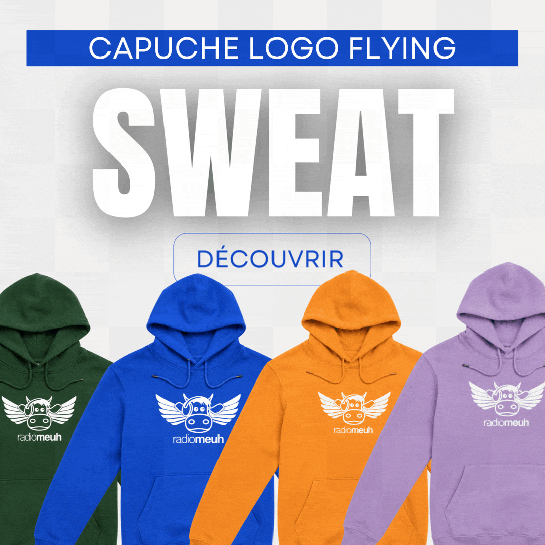 Sweat Capuche - Logo Flying